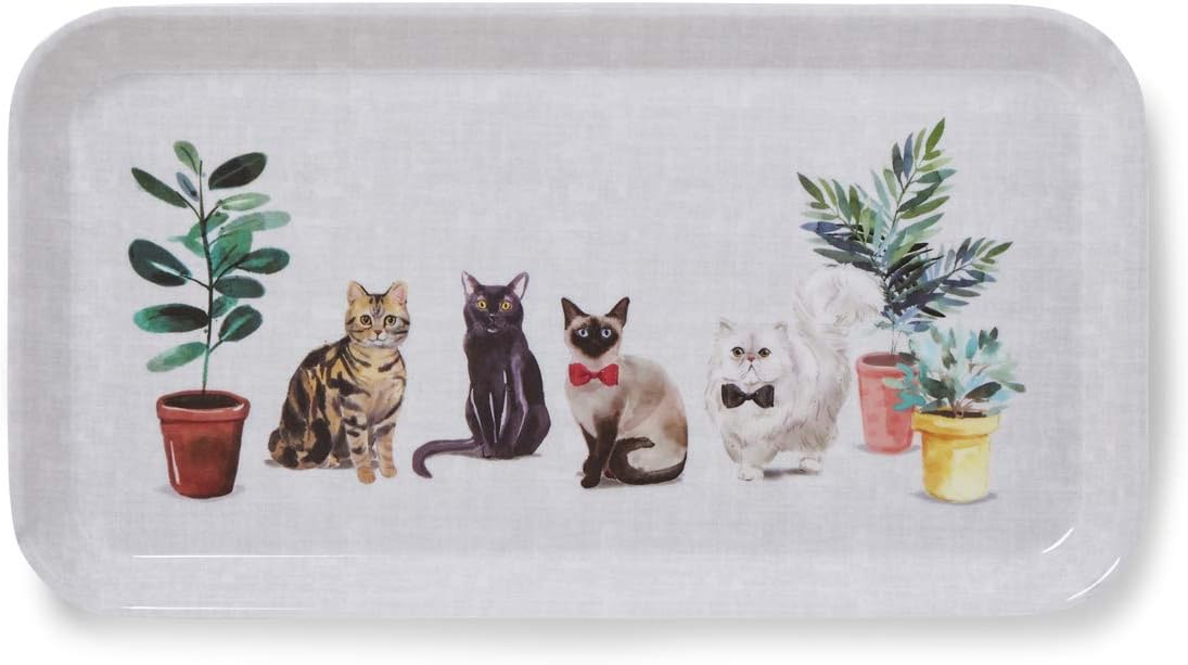 Curious Cats tray