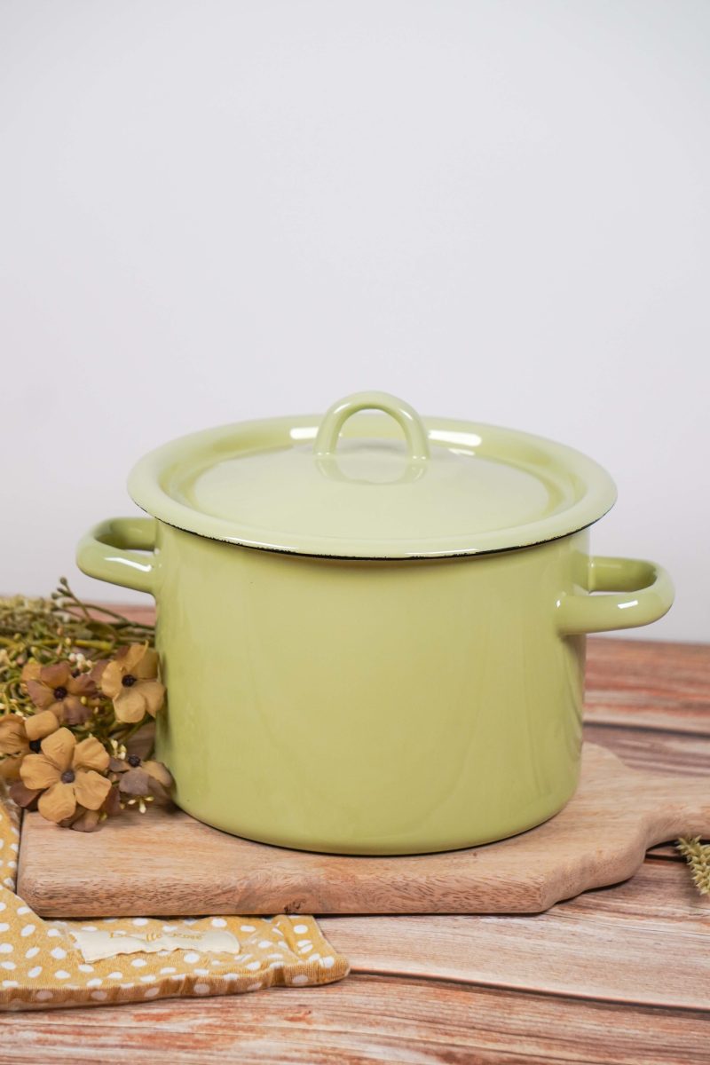 Sage green enamel cooking pot with lid